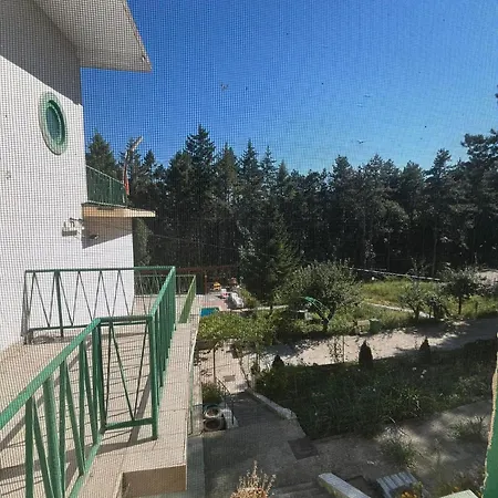 мимоза Alojamento de Turismo Selvagem Kalipetrovo