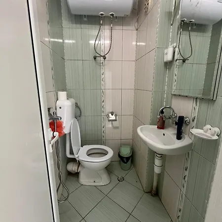 Alojamento de Turismo Selvagem мимоза